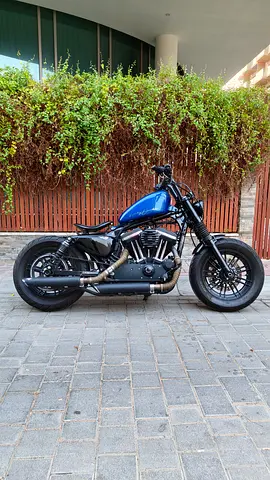 2019 Harley Davidson Sportster 1200