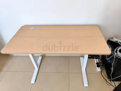 Moving Sale | Electric Standing Desk