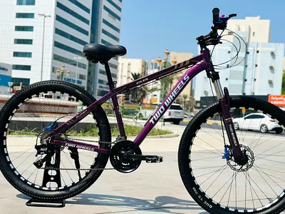 TWO WHEELS ALUMINUM BIKE27.5