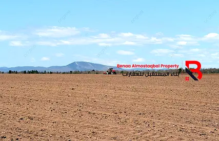 Investment land for sale – Al Ain – Al Muwaiji