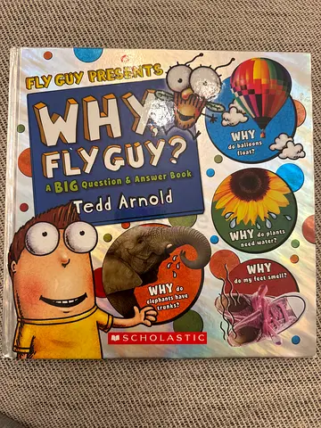 Why Fly? A Big Questions Answer Book by Tedd Arnold (Children's)