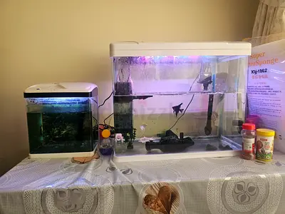 Big Fish Tank for Sale