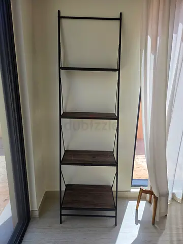 THE One Ladder Shelf