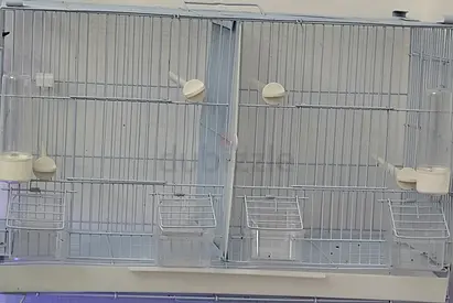 Used cage for sale