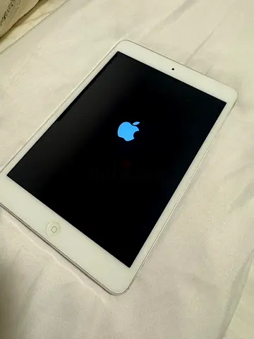 iPad mini