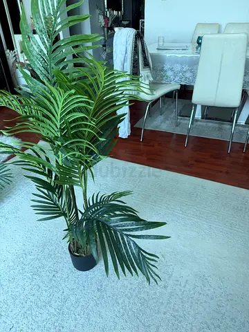 Artificial plants 2 piece