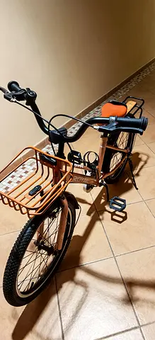 Royal Kids Bicycle with Front Basket & Rear Rack – Great Condition