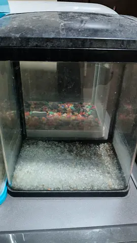 3 Small/Medium glass fish aquarium tanks for sale