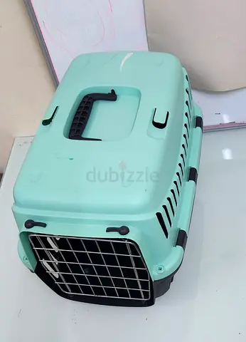 Mint green hard pet carrier, medium size, sturdy and ventilated
