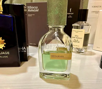 Assorted Eau de Parfum bottles — light-used collection 55% full