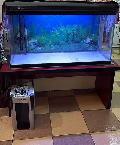 120cm Glass Fish Aquarium Tank with Hood, Lights and External Canister Filter