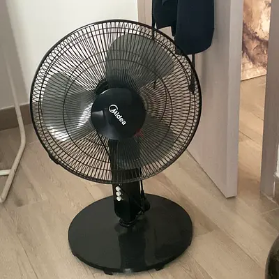 Large Fan