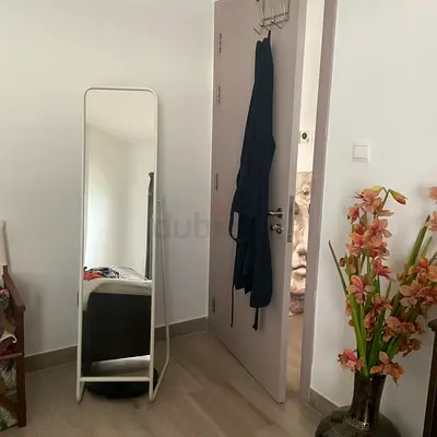 Full Length Mirror