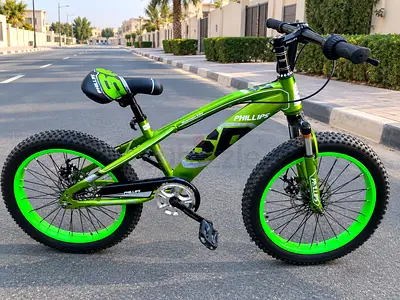 Green 18-inch Kids Mountain Bike - Phillips, Good Condition
