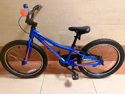 Specialized Riprock Coaster 20 Kids Bike