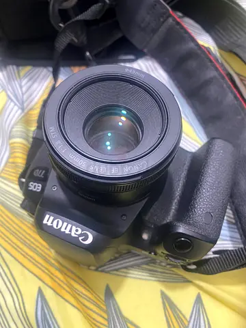 Canon EOS 77D DSLR with Canon EF 50mm f/1.8 Lens - Used