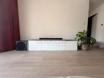 Home Centre TV Stand - Damaged Cabinet Door Hinge
