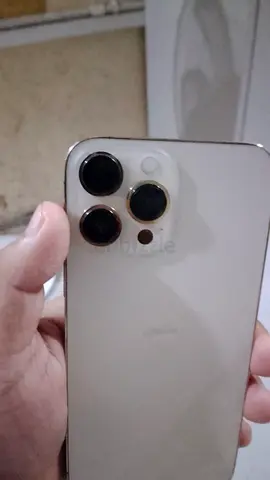 iPhone 13 Pro Max 1tb