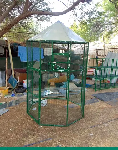 Birds cage