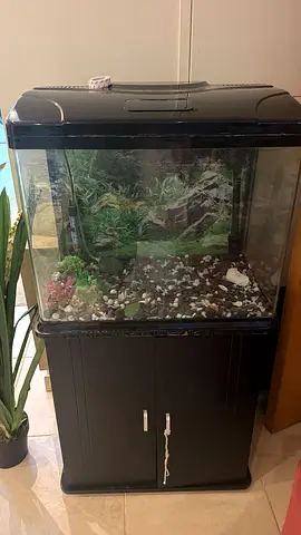 20-30L Aquarium Fish Tank with Cabinet Stand (Used)