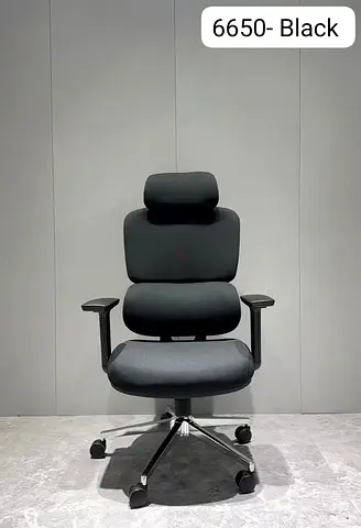 Ergonomic Office Chair with Headrest Black Colour