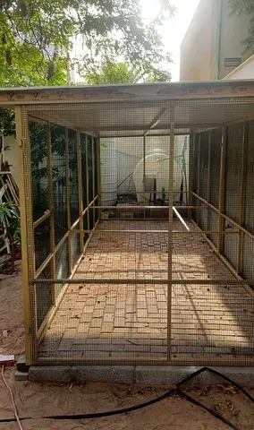 Birds cage
