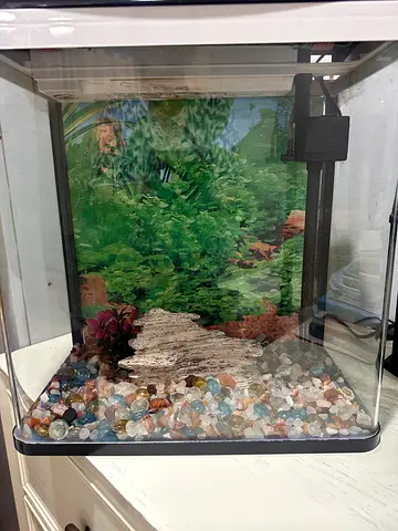 Small glass aquarium tank with filter and decorative gravel with filter