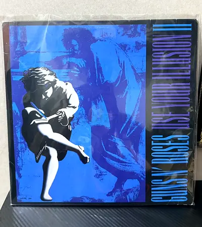 GnR vinyl record