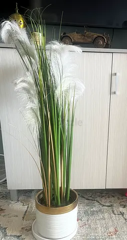 Tall decorative potted grass with white feather accents - ready to display