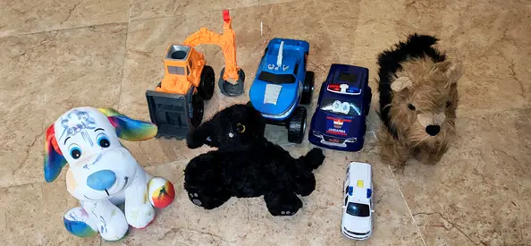 Toy's
