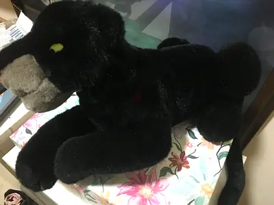 Soft Toy - Large. Purchased from Disneyland