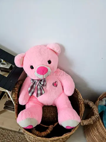 Stuffed pink teddy bear