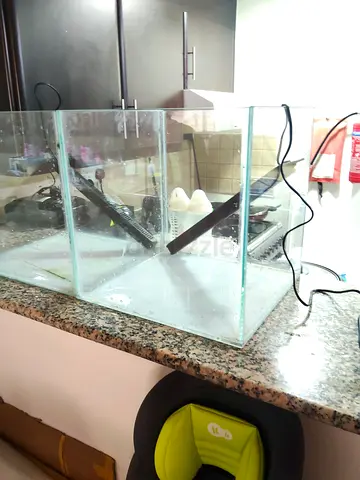 Cube Aquarium for sale