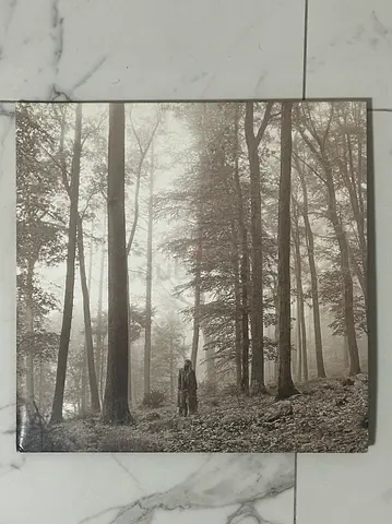 Taylor Swift - Folklore Vinyl