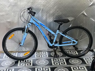 Speciallized Hotrock 24 inch kids bike