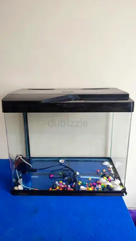 Small Aquarium Fish Tank with LED Hood and Pump - Used
