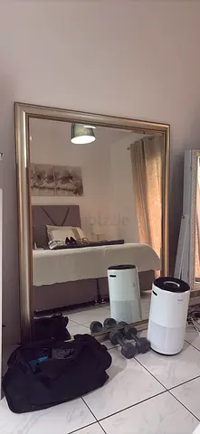 Big silver/ gold mirror