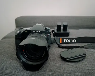 Sony RX10 IV (RX10M4) | ZEISS 24-600mm | Ultimate Safari & Travel Camera