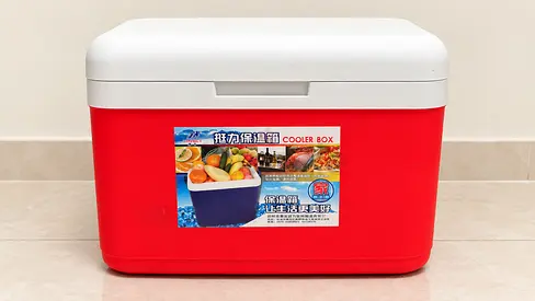 MOVING SALE! Large Insulated Picnic Cooler Box (28L) — ONLY 25 AED!
