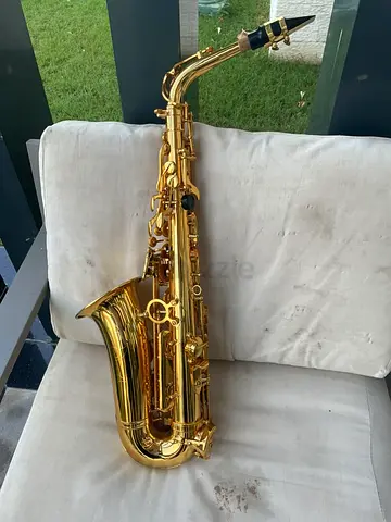 Saxophone (this is a biginner Saxophone, NO BRAND)