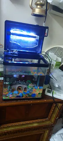 Aquarium