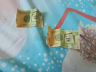 Saudi Riyal to of them