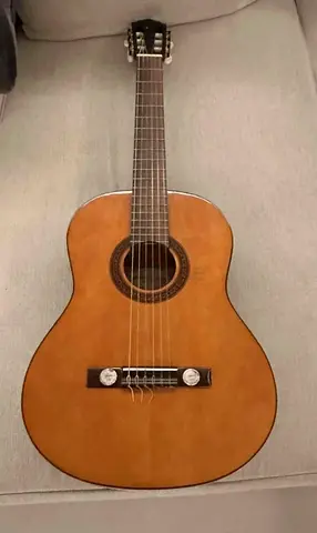Hofner Siennas HAS 304