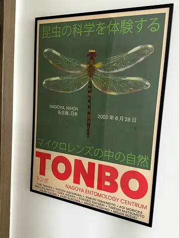 Framed TONBO Dragonfly Exhibition Poster (Japanese, 2003)