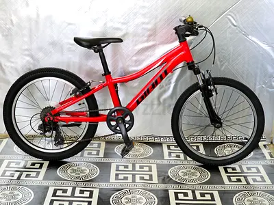 Giant xtc 20 inch kids bike