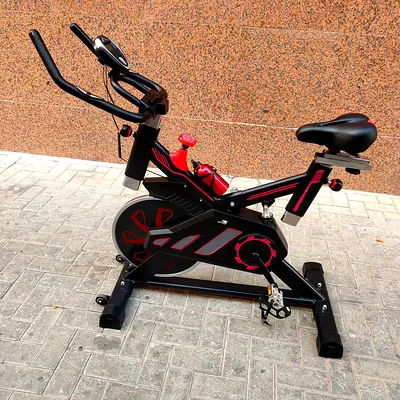 Skyland Exercise bike