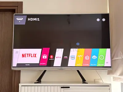 LG 49 inch Smart TV