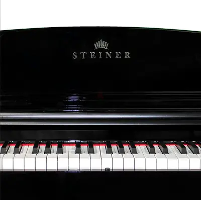 Steiner DP-850 Digital Piano - Black