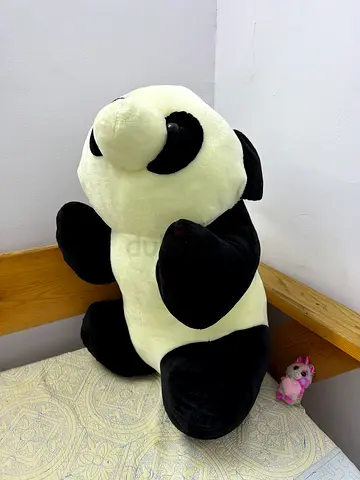 teddy panda toy