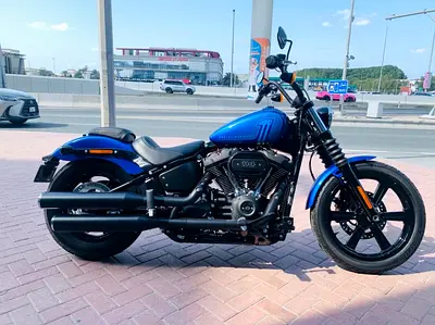 Street Bob FXBB 2019 GCC